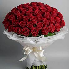 Букет 101 Красная роза Блэк Мэджик в Поселок Чайковского