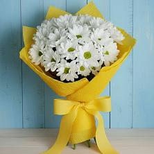 Букет цветов из:  Хризантемы в Поселок Чайковского