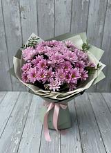 Букет цветов из:  Хризантемы в Поселок Чайковского