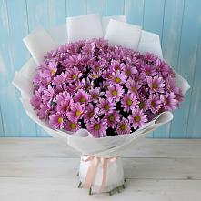 Букет цветов из:  Хризантемы в Поселок Чайковского
