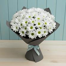 Букет цветов из:  Хризантемы #REPLACE_PRED# Поселок Чайковского