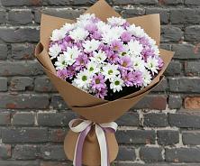 Букет цветов из:  Хризантемы в Поселок Чайковского