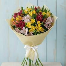 Букет цветов из:  Альстромерии в Поселок Чайковского