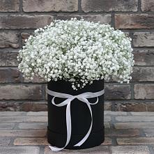 Цветочная композиция из Гипсофила в шляпной коробке в Поселок Чайковского