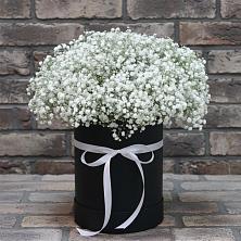 Цветочная композиция из Гипсофила в шляпной коробке в Поселок Чайковского
