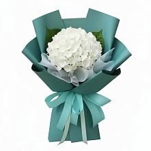 Букет цветов из:  Гортензия в Поселок Чайковского